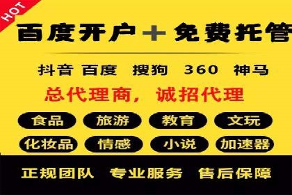 百度竞价排名案例解析：如何快速提升网站流量